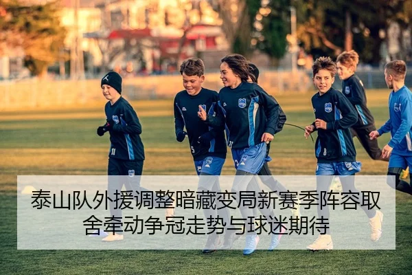 泰山队外援调整暗藏变局新赛季阵容取舍牵动争冠走势与球迷期待